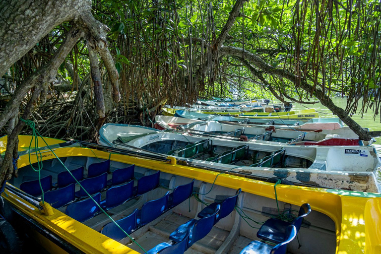 Others 4, The Mangrove Cave Hotel, Balapitiya