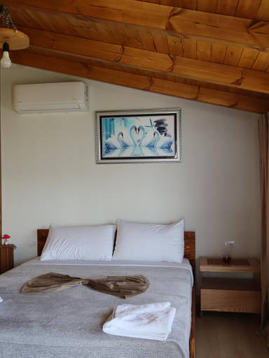 Others 5, Bujtina ANLU, Gjirokastrës