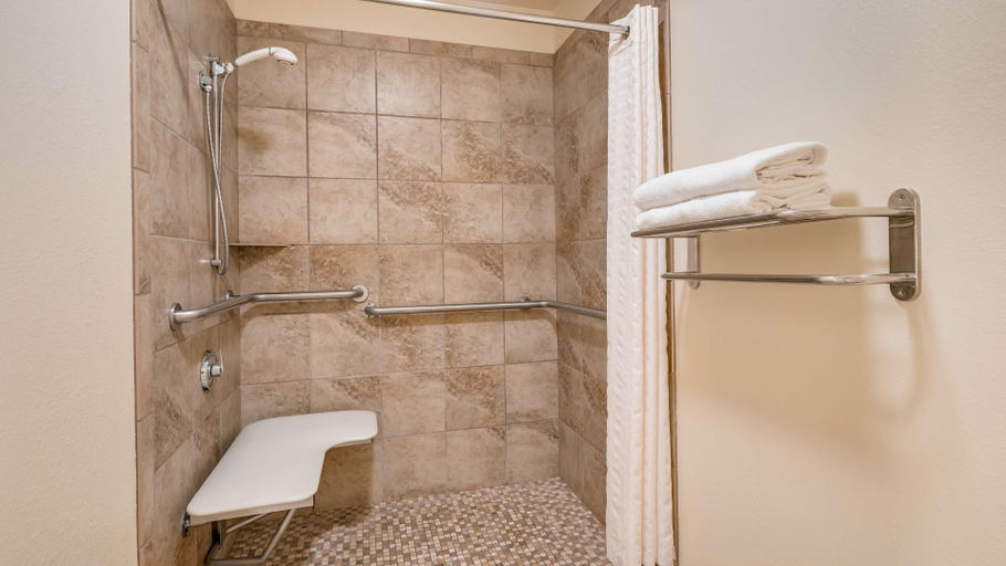 Bathroom 4, Best Western Pineywoods Inn, Cass