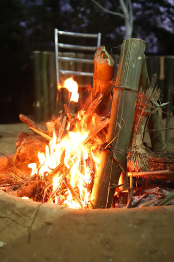 Food & Drinks 4, Omya Forest Camps & Cottages Bir, Near Choti Machiyal, Kangra