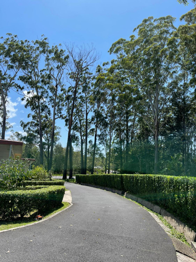 Others 5, Major Innes Motel, Port Macquarie-Hastings - Pt A