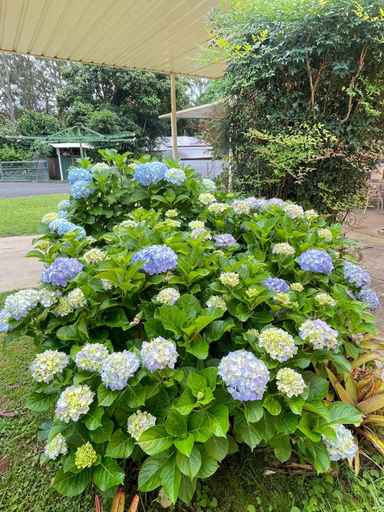 Others 4, Major Innes Motel, Port Macquarie-Hastings - Pt A