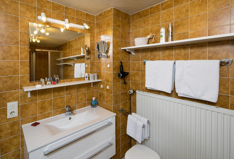 Bathroom 2, Gastehaus Bock, Ostallgäu