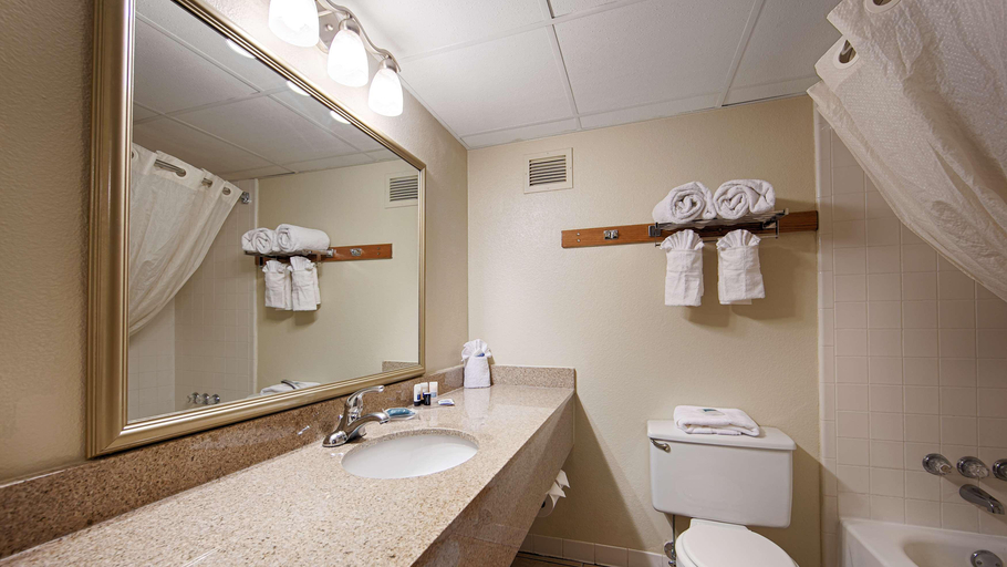 Bathroom 4, Best Western Plus Lower South End, Mecklenburg