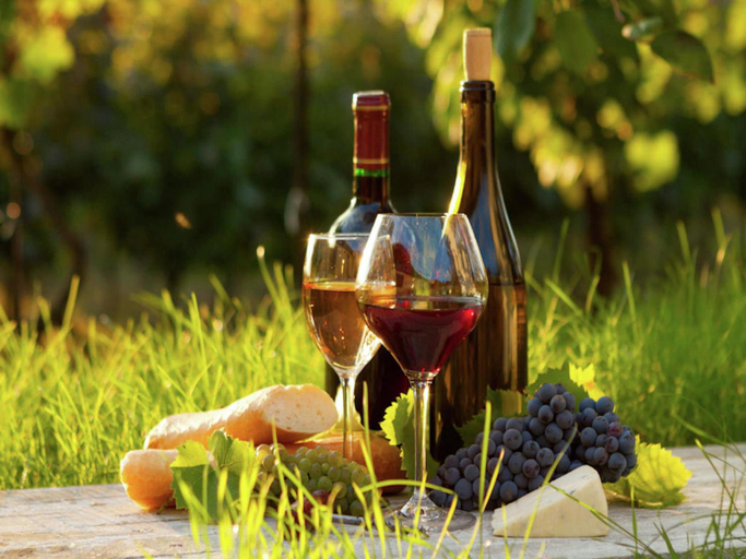Food & Drinks 5, Mansion in Fargues with Pool and Garden, Lot-et-Garonne