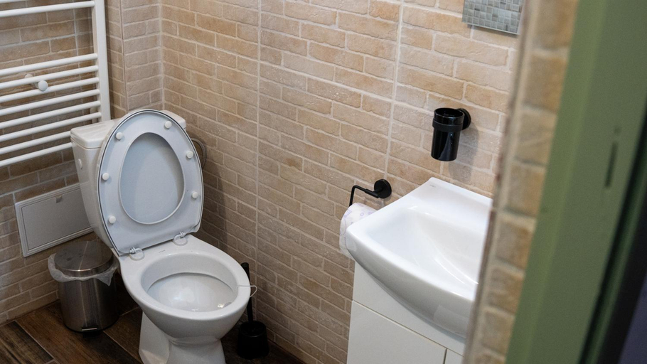 Bathroom 2, La Moara, Dobresti