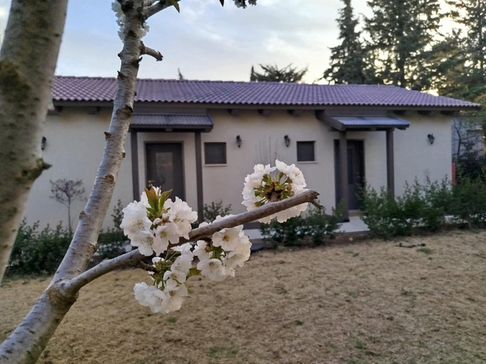 Others 2, דצ'א - Дача - Dacha