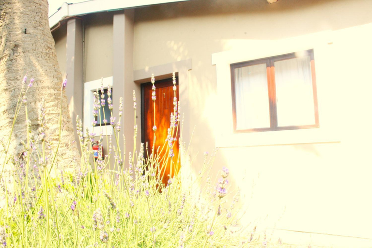 Others 3, The Residence @ Villa Wiese, Swakopmund