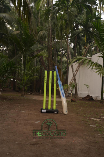 Others 3, The Cocario, Raigarh