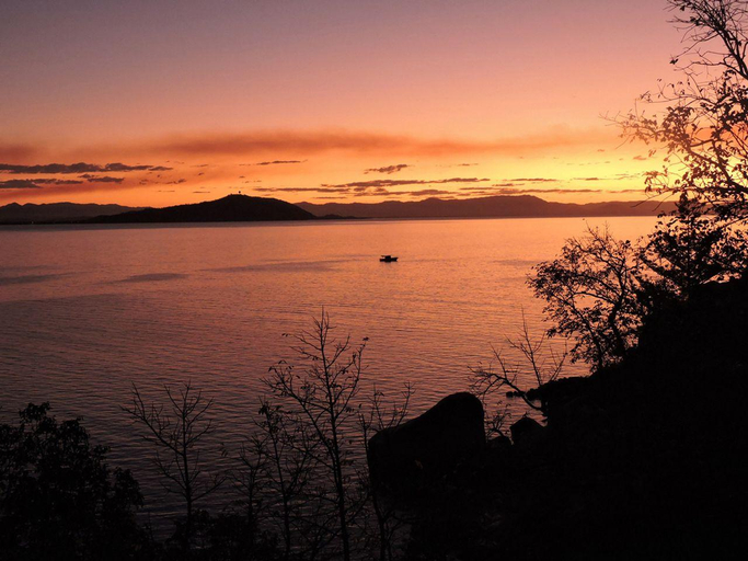 3, Driftwood, Magnetic Island