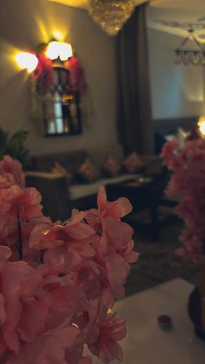 Food & Drinks 4, Absolute Away !!, Gautam Buddha Nagar