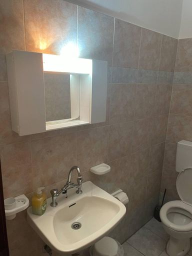 Bathroom, Tasos Manaritsas Rooms, Central Greece