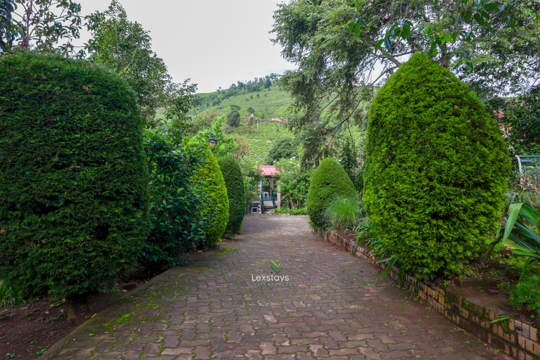 Others 4, 42 Green Pastures By LexStays-Tea Estate Experience, The Nilgiris