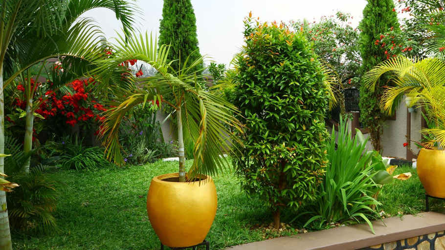 Food & Drinks, Kigali Peace villa, Gasabo