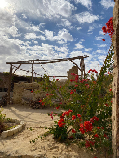 Others 5, Grand Siwa, Siwa