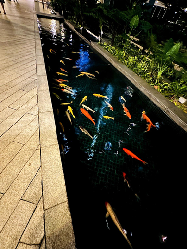 Sport & Beauty, Regalia KLCC view by Willow Home, Kuala Lumpur