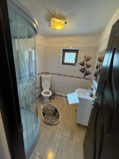 Bathroom 3, Pensiunea Diana, Novaci