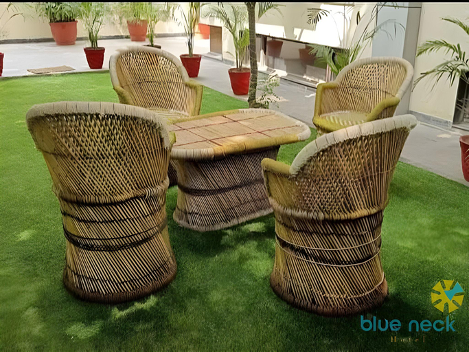 Others 5, Hotel Blue Neck Hudda City Centre, Gurgaon