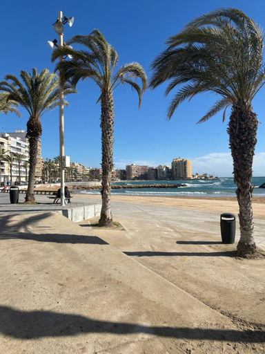 Others 5, Hostal Lavela, Alicante