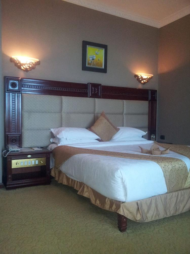 Bedroom 2, Friendship International Hotel., Addis Abeba