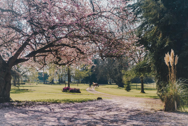 Others 5, Chateau Du Landin, Eure