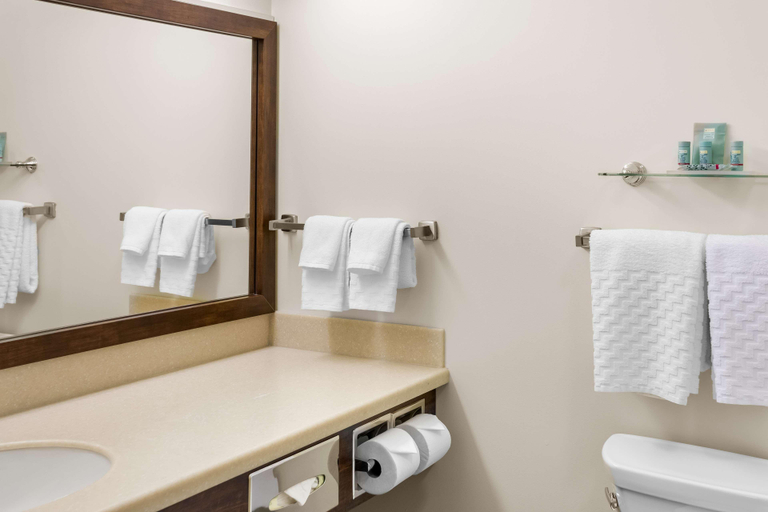 Bathroom 4, Best Western Thompson Hotel & Suites, Division No. 22