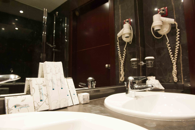 Bathroom 3, SERCOTEL PRINCESA DE EBOLI, Madrid
