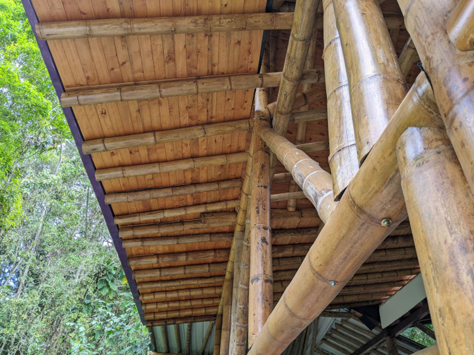 Others 4, Refugio en el Bosque, Rionegro