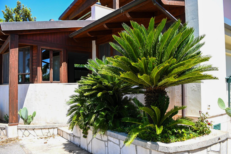 Others 5, Villa Intini Casa Vacanze, Bari