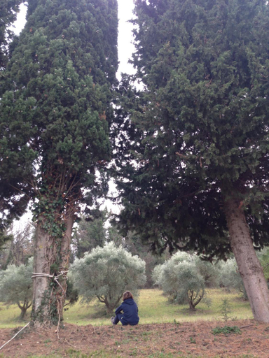 Others 5, Tierra Cristiana, Macerata