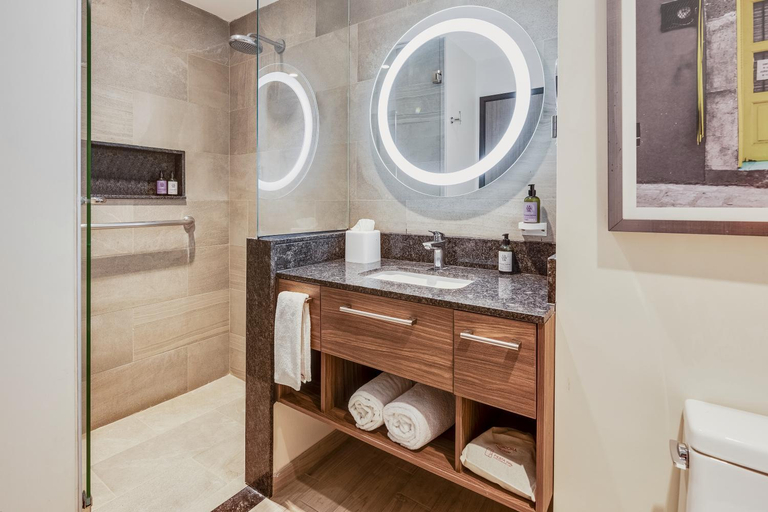 Bathroom 4, Fiesta Inn Suites Aeropuerto del Bajio, Silao