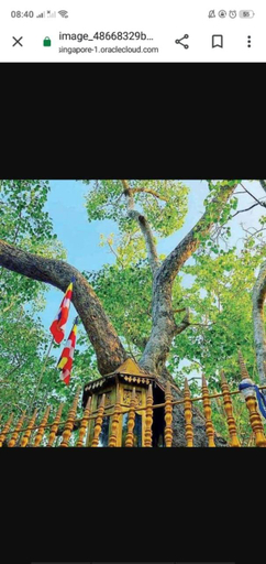Others 2, Impress Holiday Home, N. Palatha Central