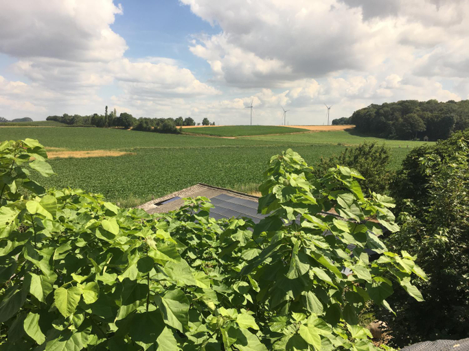 Others 5, B&B Sapere, Limburg