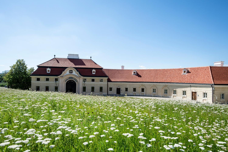 Others 5, Gastehaus Benediktinerstift Gottweig - Bed & Breakfast Monastery, Krems an der Donau Land