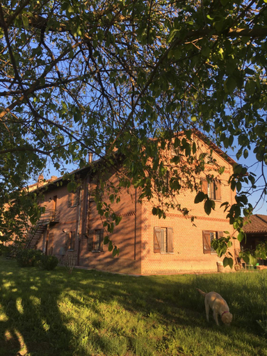 Others 4, Bed & Breakfast Il mio Gelso, Asti
