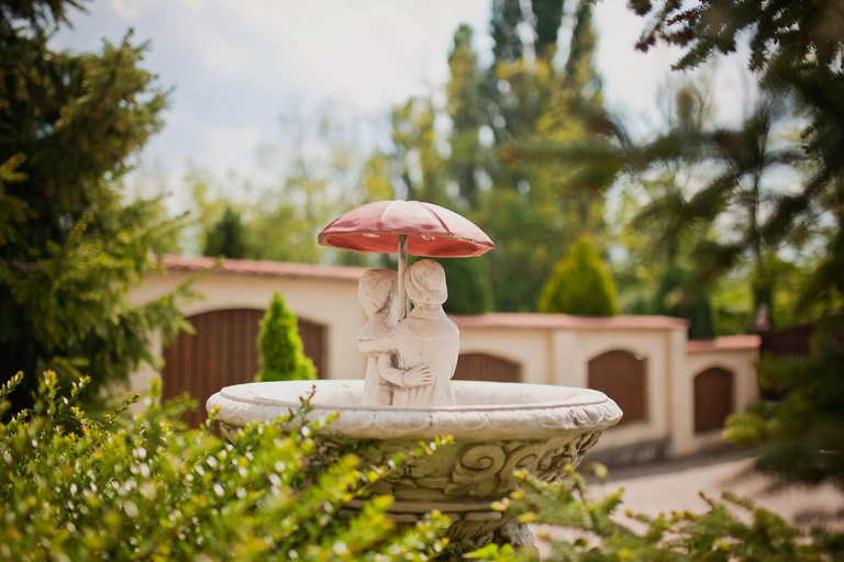 Food & Drinks 3, villa Psenek, Pieštany