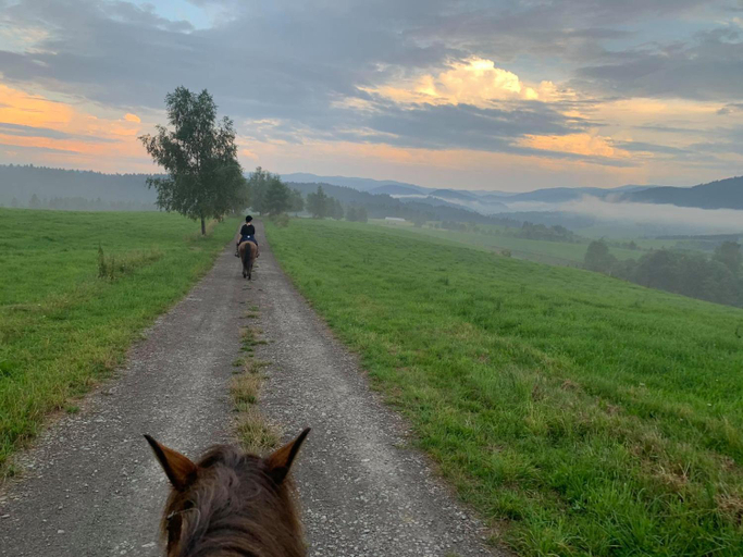Others 2, Knieja u Andrzeja, Bieszczady