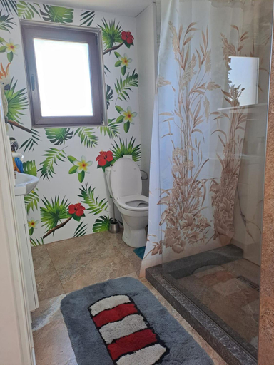 Bathroom 3, Casa Sofia, Bumbesti-jiu