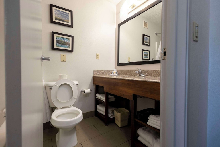 Bathroom 3, Comfort Suites Springfield I-70, Clark