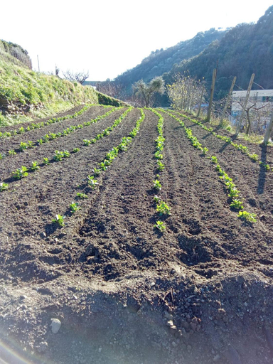 Others 3, Agriturismo Cele, Savona