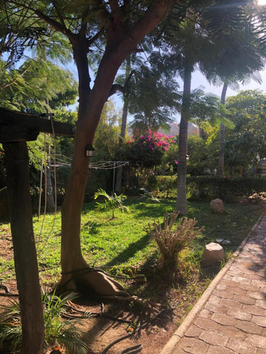 Others 5, Bungalow Kbo, La Paz