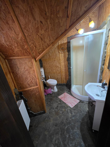 Bathroom 2, Cabana Magdalena, Campulung