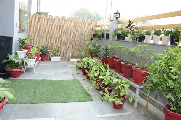 Others 5, Hotel Stiltstay, Gautam Buddha Nagar