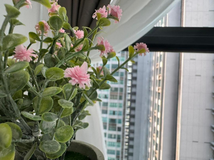 Others 5, Cubic Botanical by ANCUBIC, Bangsar South KL, Kuala Lumpur