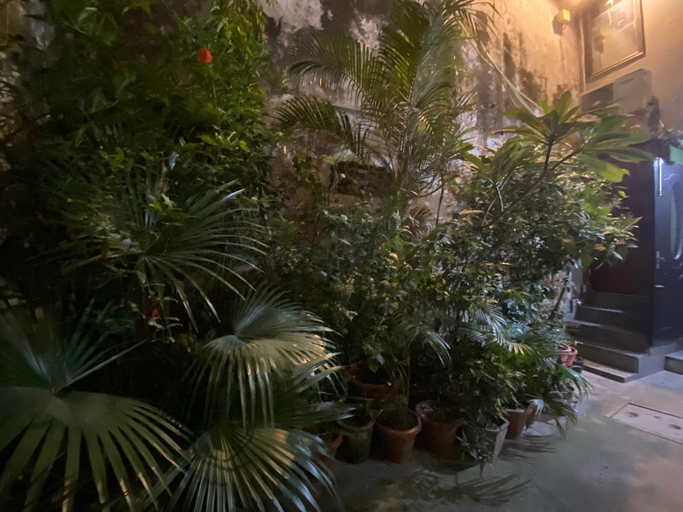 Others 4, Sufikhandar home stay, Delhi