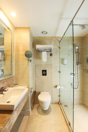 Bathroom 4, The Orion Plaza, Nehru Place, Delhi