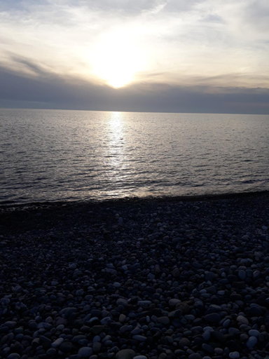 Others 4, Don Fridon, Batumi