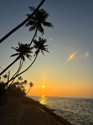 Others 5, Casa Tharin Madiha, Matara Four Gravets