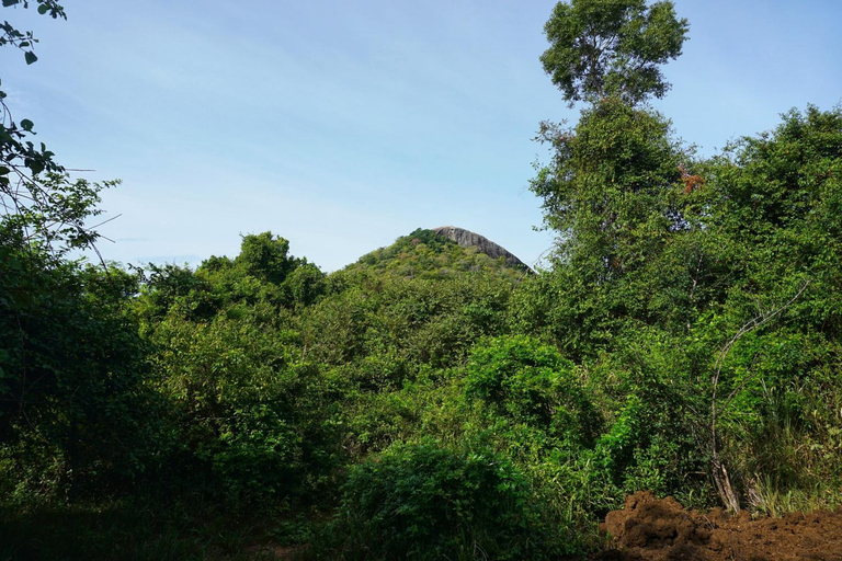 2, Rana Treehouse, Dambulla