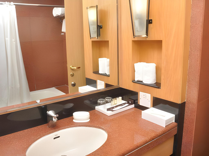 Bathroom 4, The Hans Hotel, Delhi